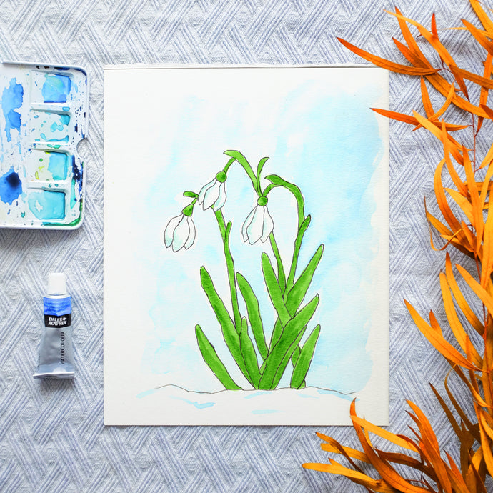 Watercolor Template - Snowdrop Flowers