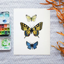 Watercolor Template - Butterflies & Moth