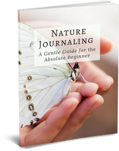 Discounted Nature Journaling Bundle (PDF)