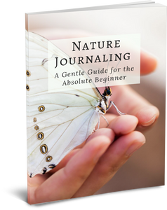 Nature Journaling Bundle (PDFs)