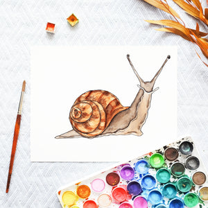 Watercolor Template - Snail
