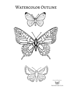 Watercolor Template - Butterflies & Moth