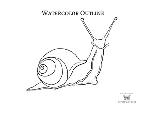 Watercolor Template - Snail
